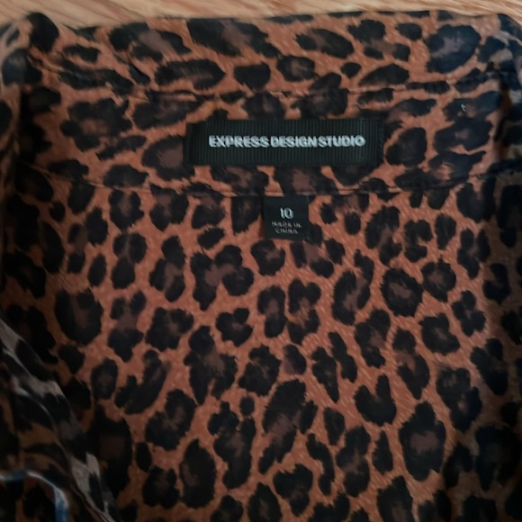 Express fall leopard dress - Picture 2 of 2